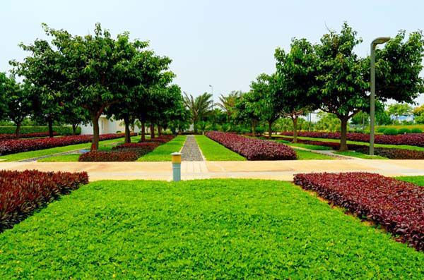 園林綠化常見問題總結(jié)，值得收藏