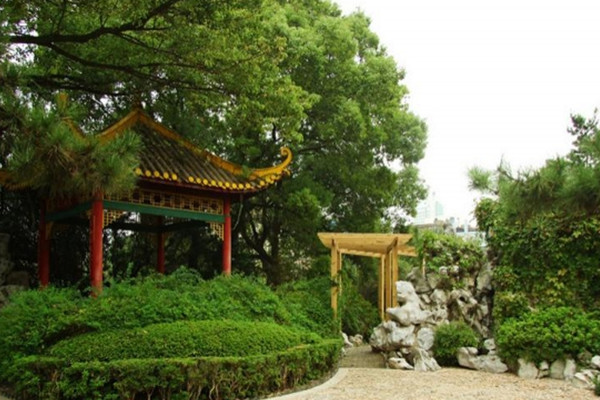 如何讓土地“變肥”，讓樹苗“夠吃”？