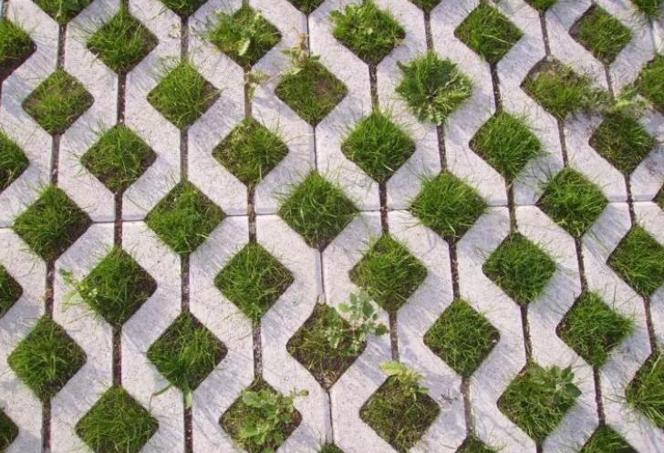 17部門(mén)聯(lián)合印發(fā)行動(dòng)方案 深入打好長(zhǎng)江保護(hù)修復(fù)攻堅(jiān)戰(zhàn)