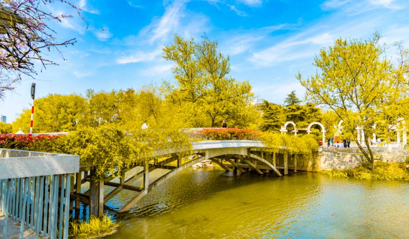 秋季關于園林綠化養護專業知識 ，你知道多少？