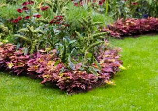 園林景觀設(shè)計(jì)，要注意什么事項(xiàng)呢？